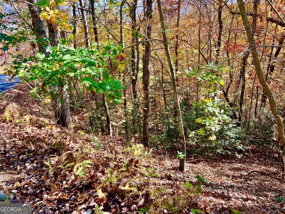 13 Up the Ridge RD Blairsville, GA 30512