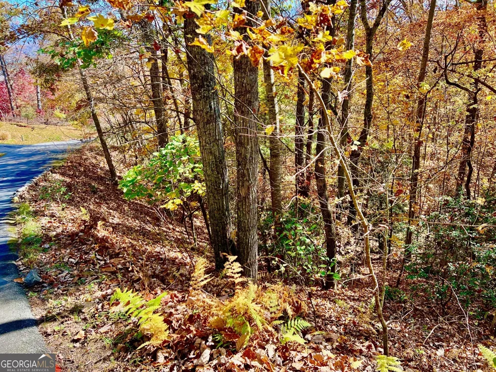 13 Up the Ridge RD Blairsville, GA 30512