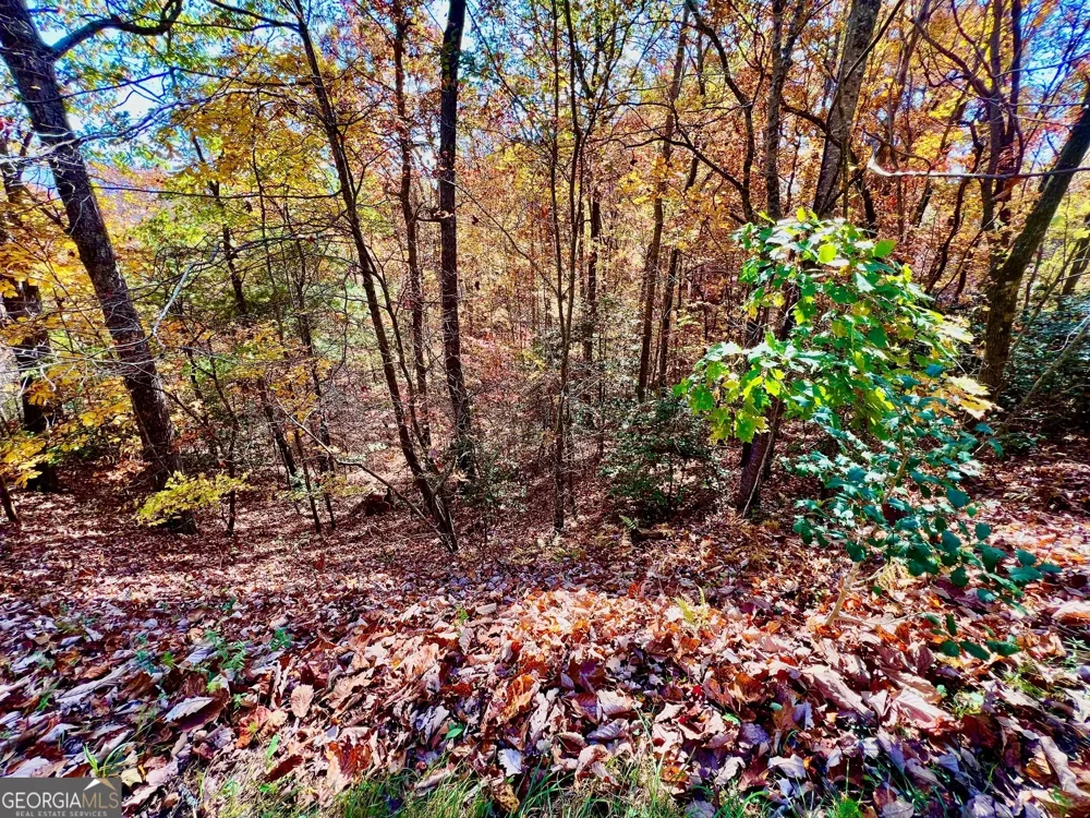 13 Up the Ridge RD Blairsville, GA 30512