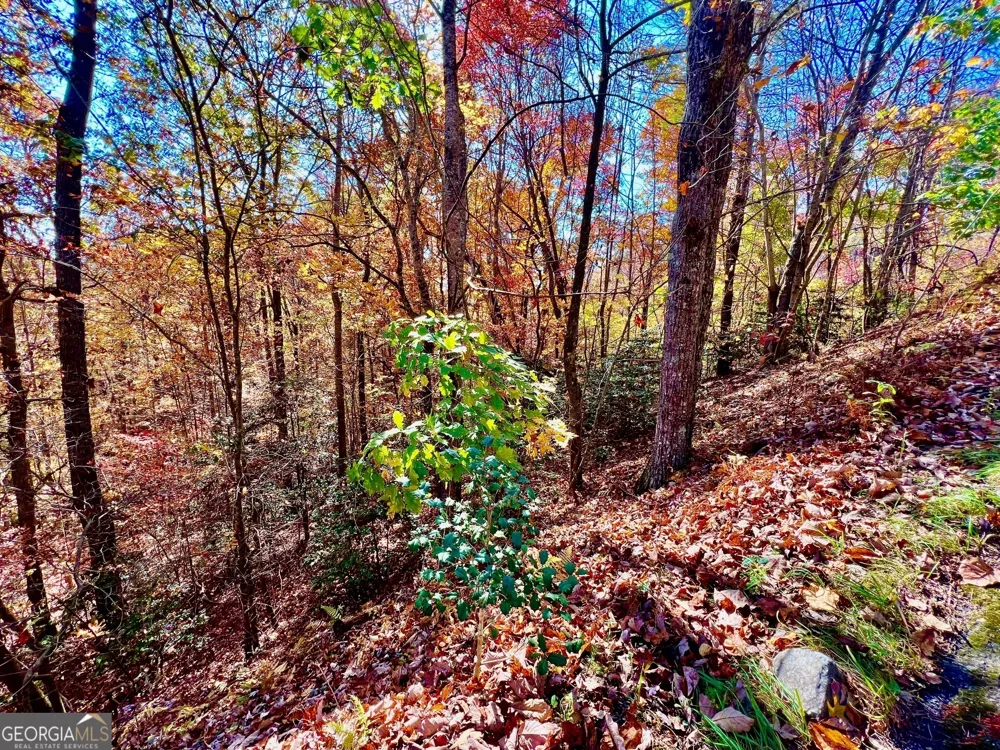 13 Up the Ridge RD Blairsville, GA 30512
