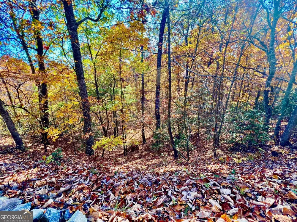 13 Up the Ridge RD Blairsville, GA 30512