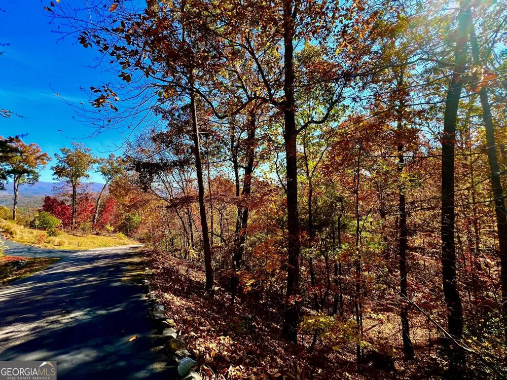 13 Up the Ridge RD Blairsville, GA 30512