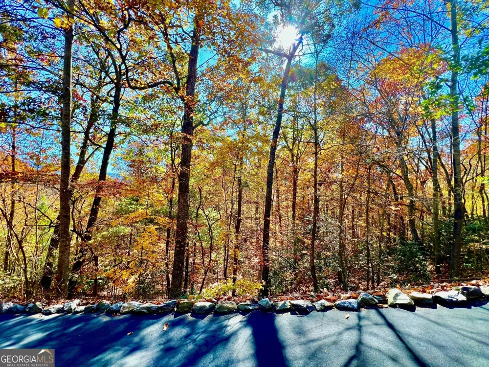 13 Up the Ridge RD Blairsville, GA 30512