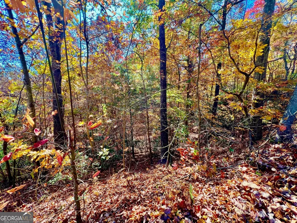 13 Up the Ridge RD Blairsville, GA 30512