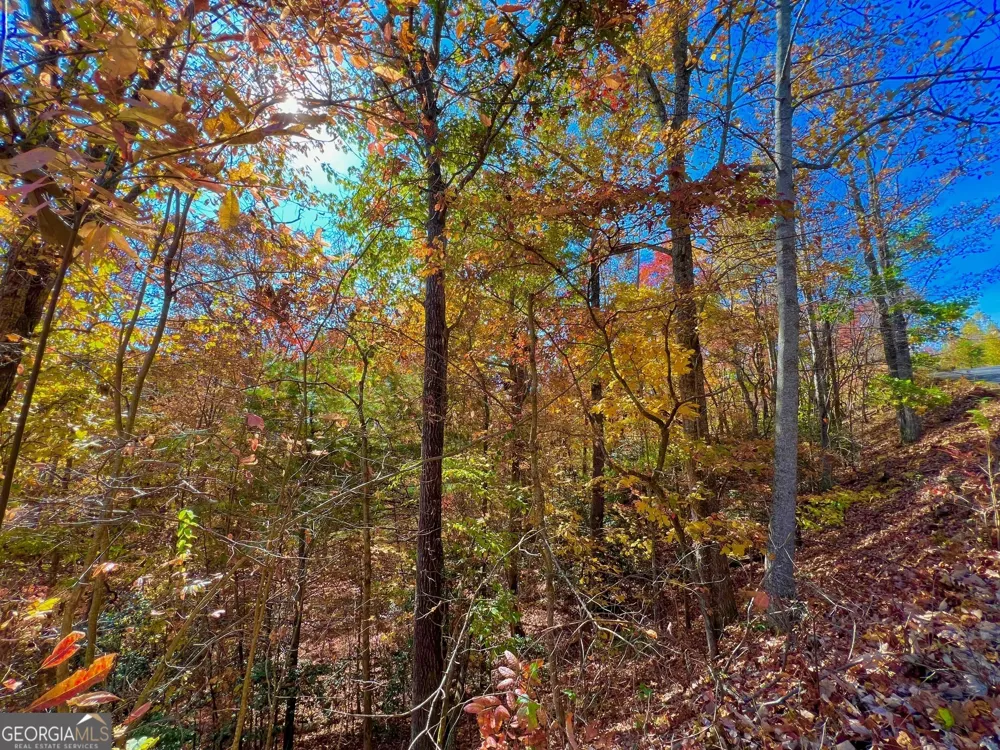 13 Up the Ridge RD Blairsville, GA 30512
