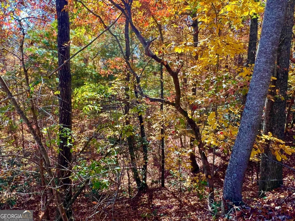 13 Up the Ridge RD Blairsville, GA 30512