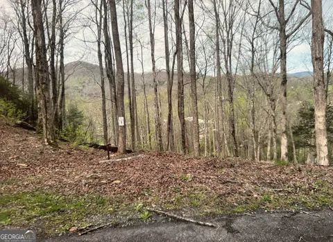 LOT 3 Buckhead Hills