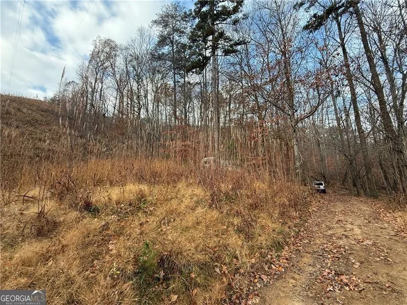 0 Falling Pines RD Dahlonega, GA 30533