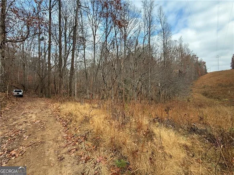 0 Falling Pines RD Dahlonega, GA 30533