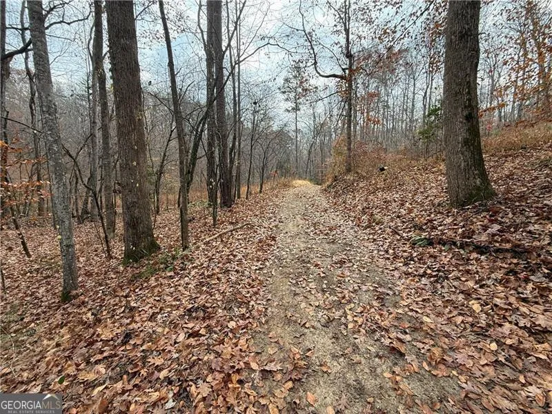 0 Falling Pines RD Dahlonega, GA 30533