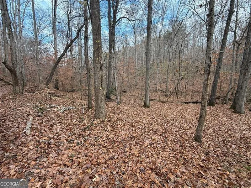 0 Falling Pines RD Dahlonega, GA 30533