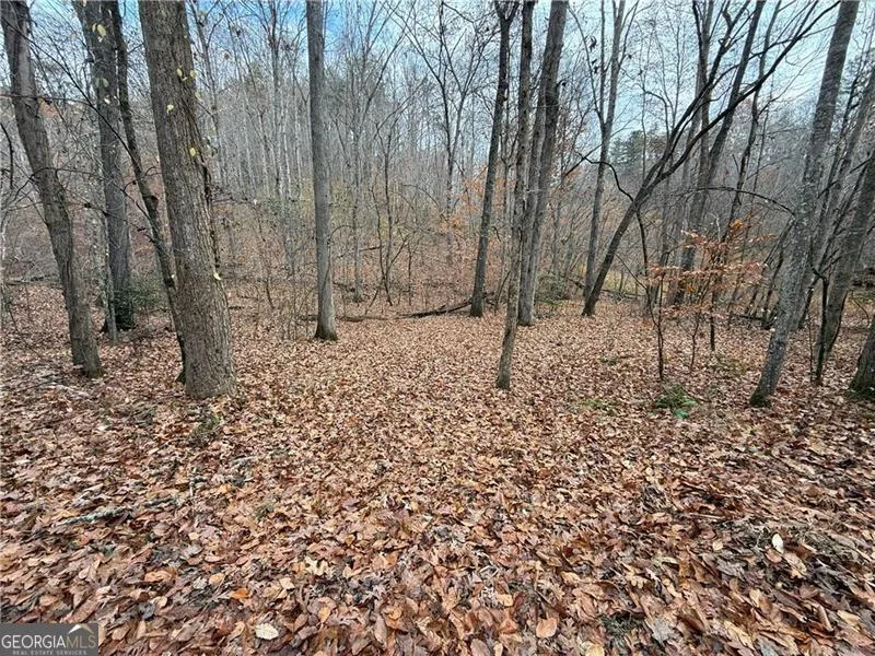 0 Falling Pines RD Dahlonega, GA 30533