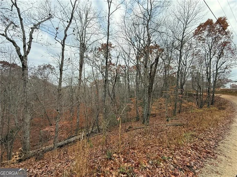 0 Falling Pines RD Dahlonega, GA 30533