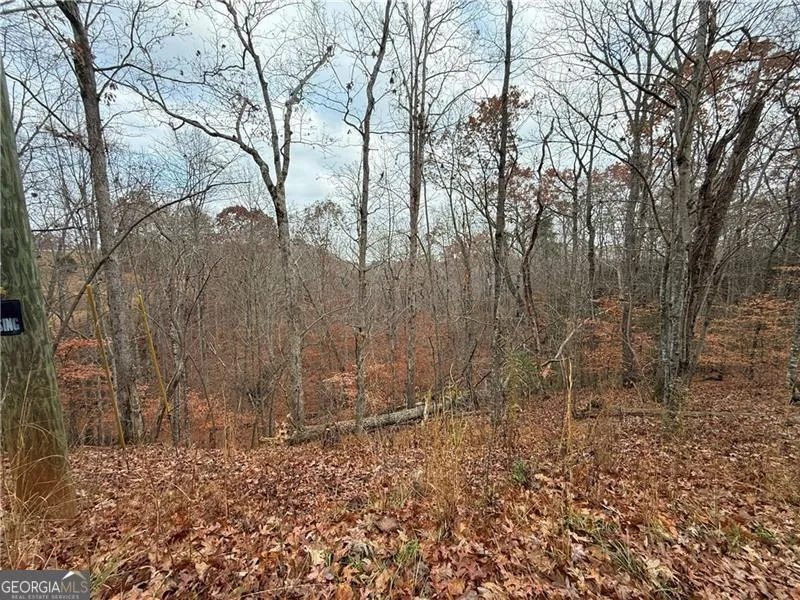 0 Falling Pines RD Dahlonega, GA 30533