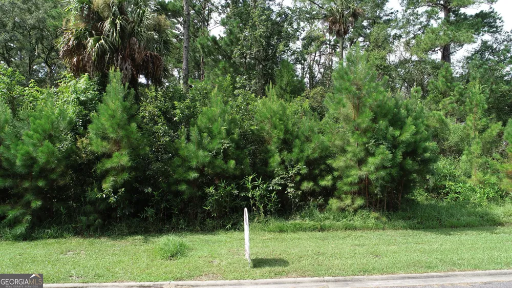 1112 River Oaks RD Brunswick, GA 31523