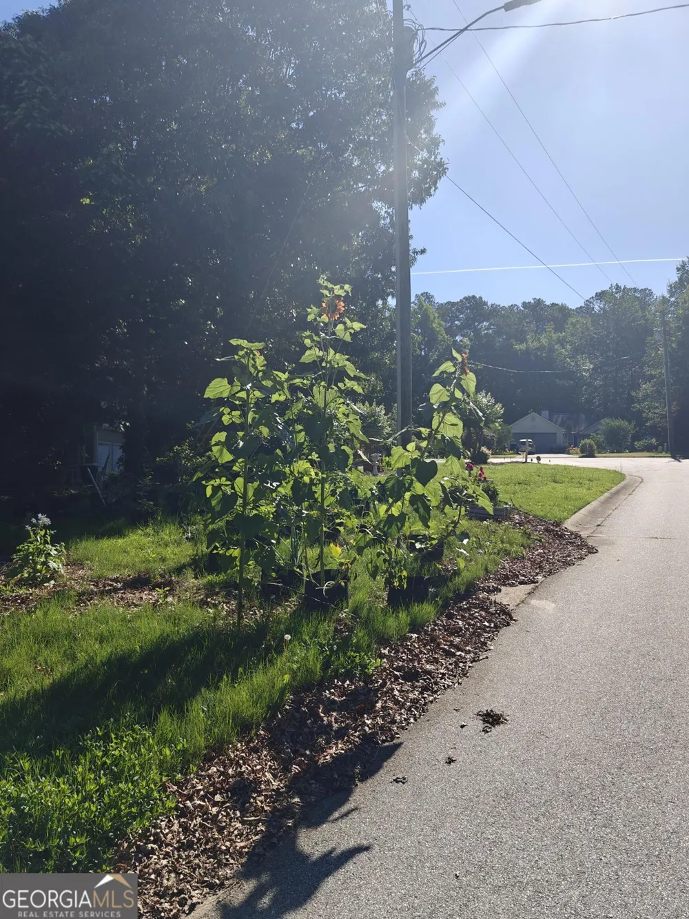 115 Cash WAY Rockmart, GA 30153