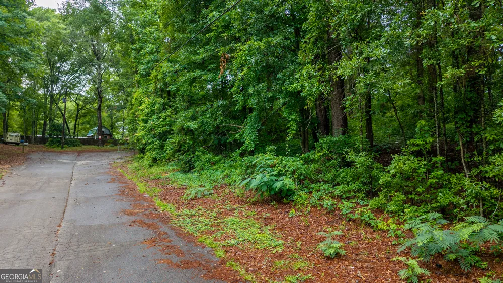 136 Wolf Creek LN Locust Grove, GA 30248
