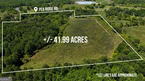 3600 Pea Ridge RD