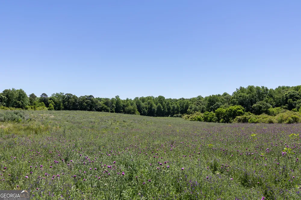 3600 Pea Ridge RD Cornelia, GA 30531