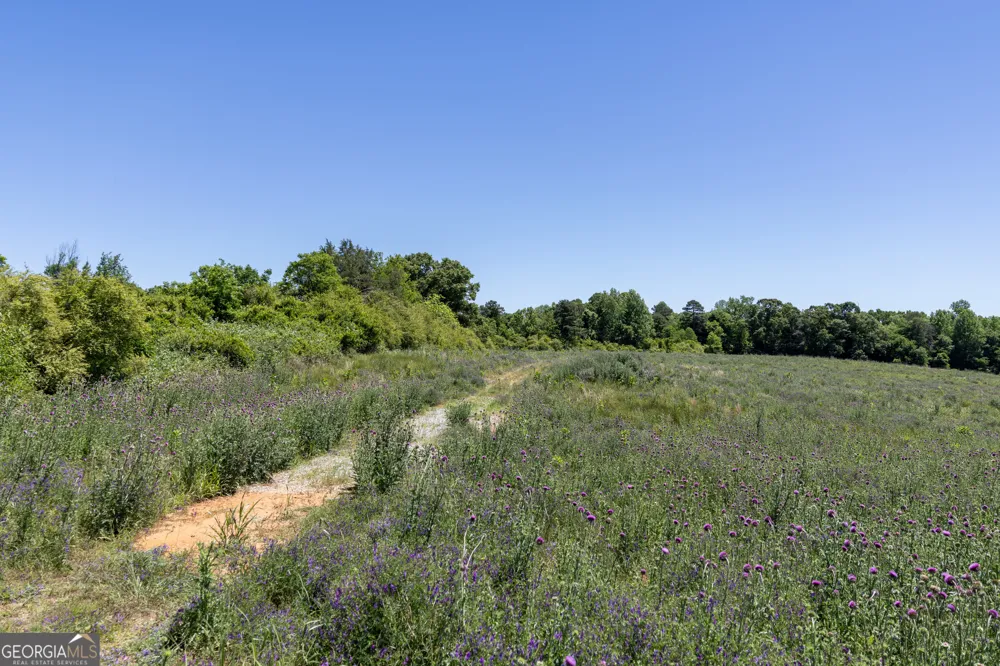 3600 Pea Ridge RD Cornelia, GA 30531