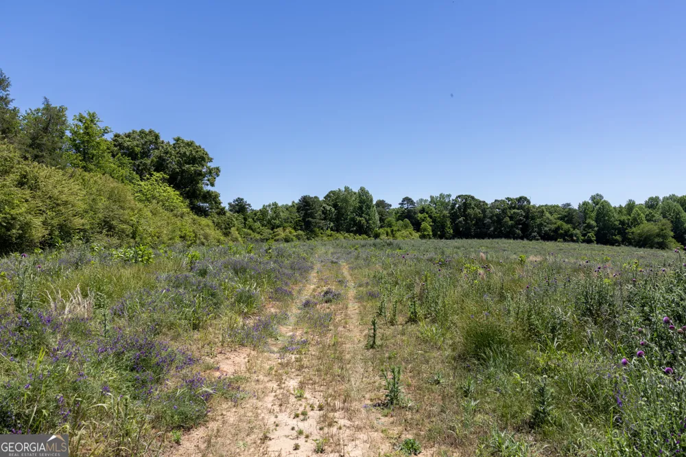 3600 Pea Ridge RD Cornelia, GA 30531