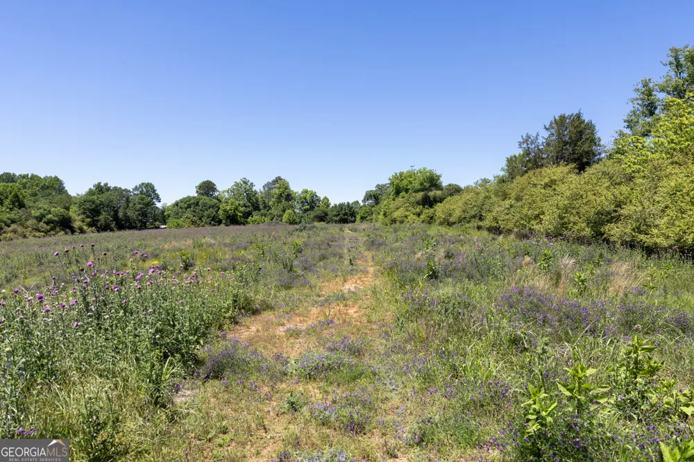 3600 Pea Ridge RD Cornelia, GA 30531
