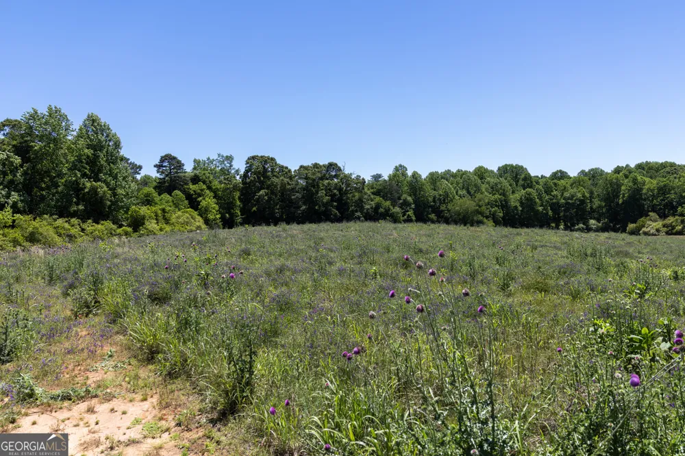 3600 Pea Ridge RD Cornelia, GA 30531