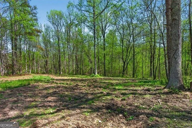 0 Grandview RD Jasper, GA 30143