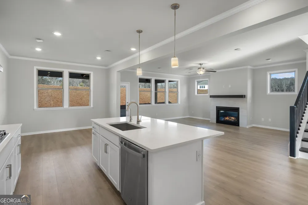 8935 Avonbrook Close Ball Ground, GA 30107