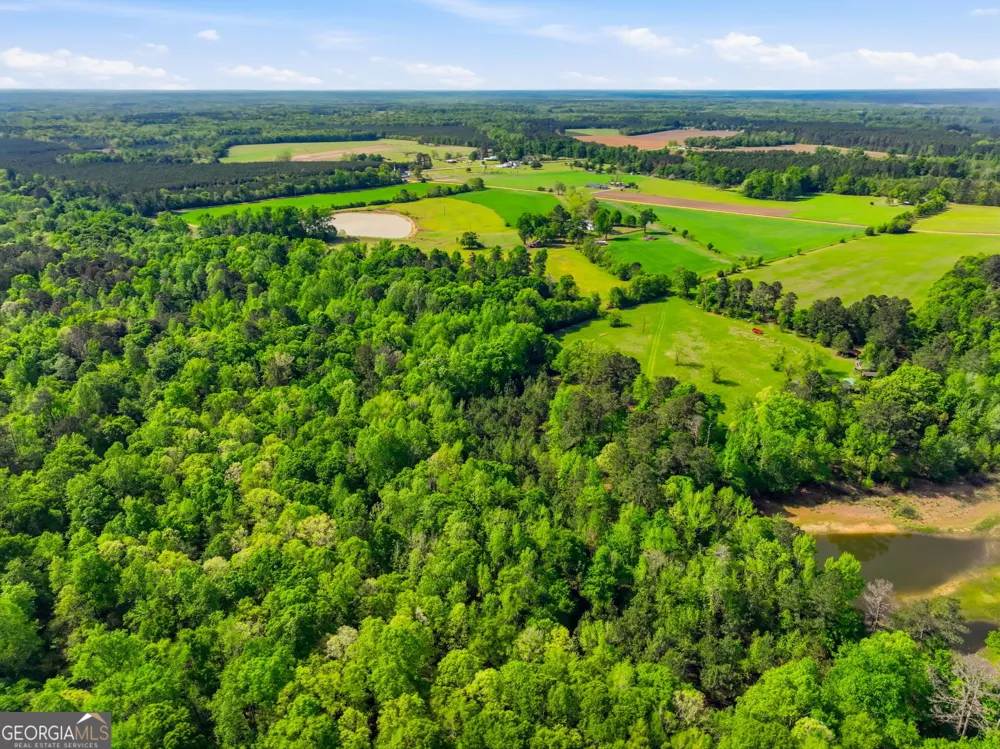 2705 Piney Mount RD Tennille, GA 31089