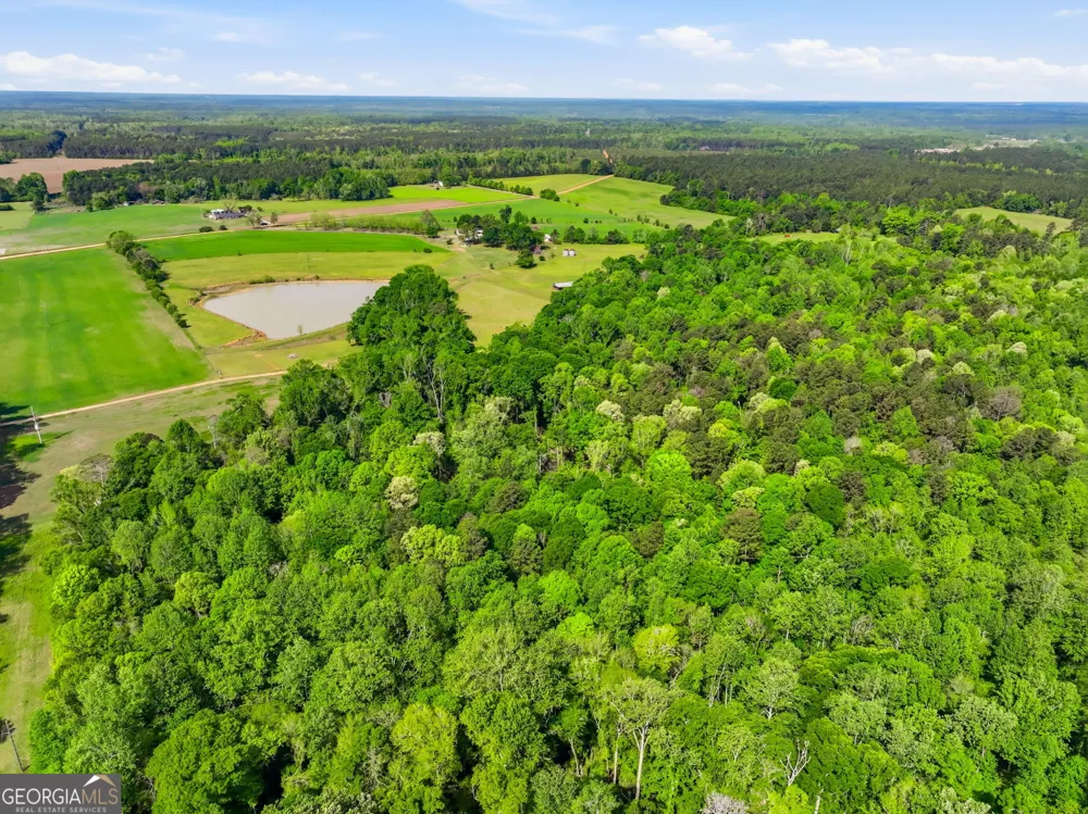 2705 Piney Mount RD Tennille, GA 31089