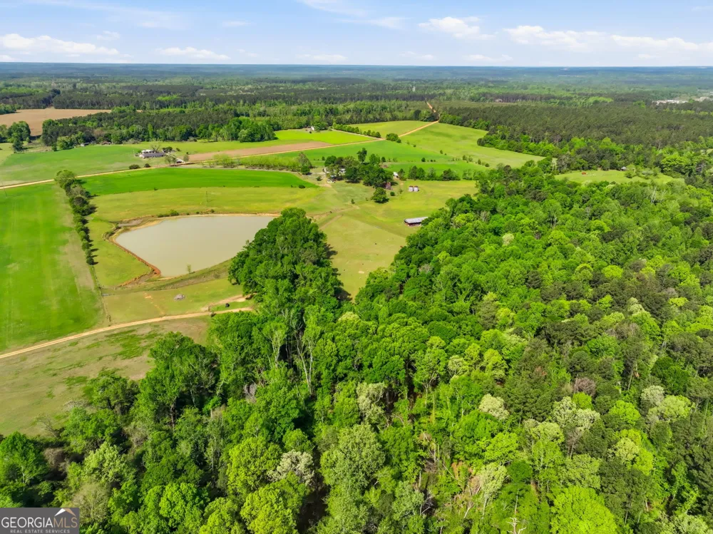 2705 Piney Mount RD Tennille, GA 31089