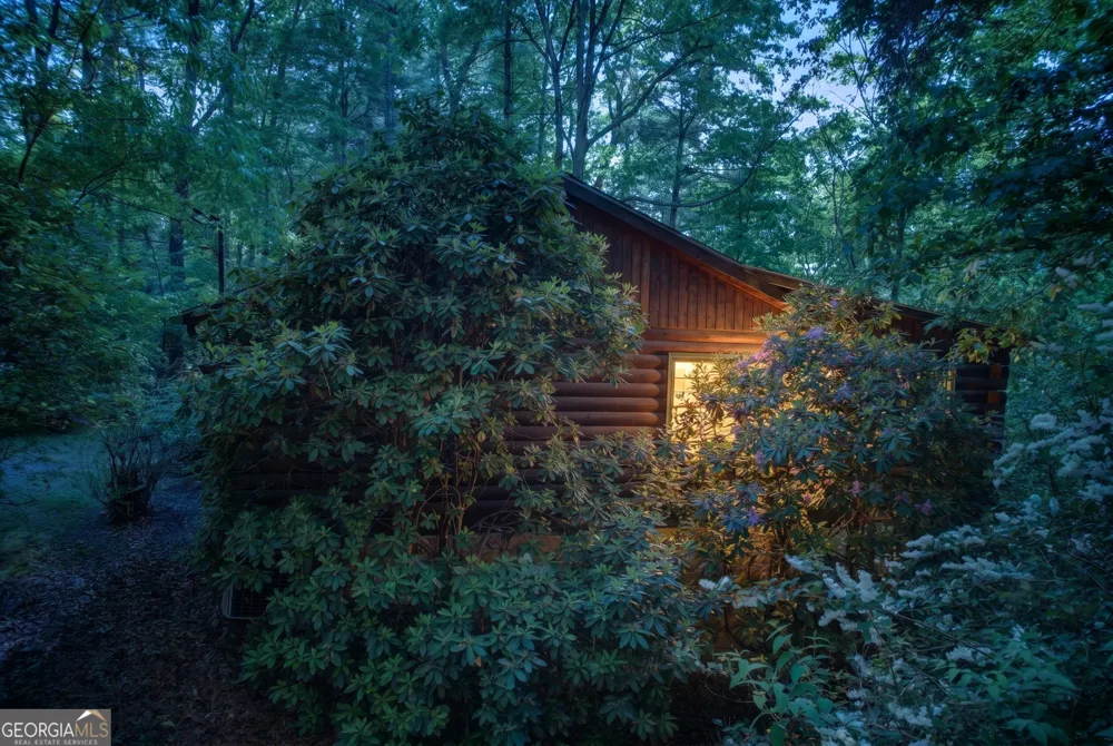 218 Bench Leg RD Mineral Bluff, GA 30559