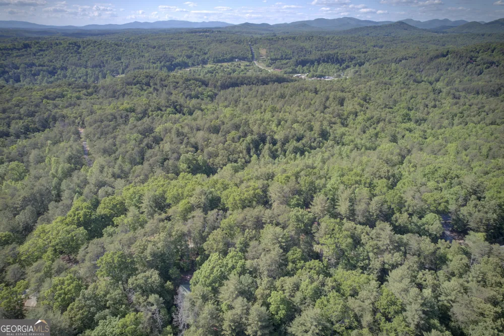 218 Bench Leg RD Mineral Bluff, GA 30559