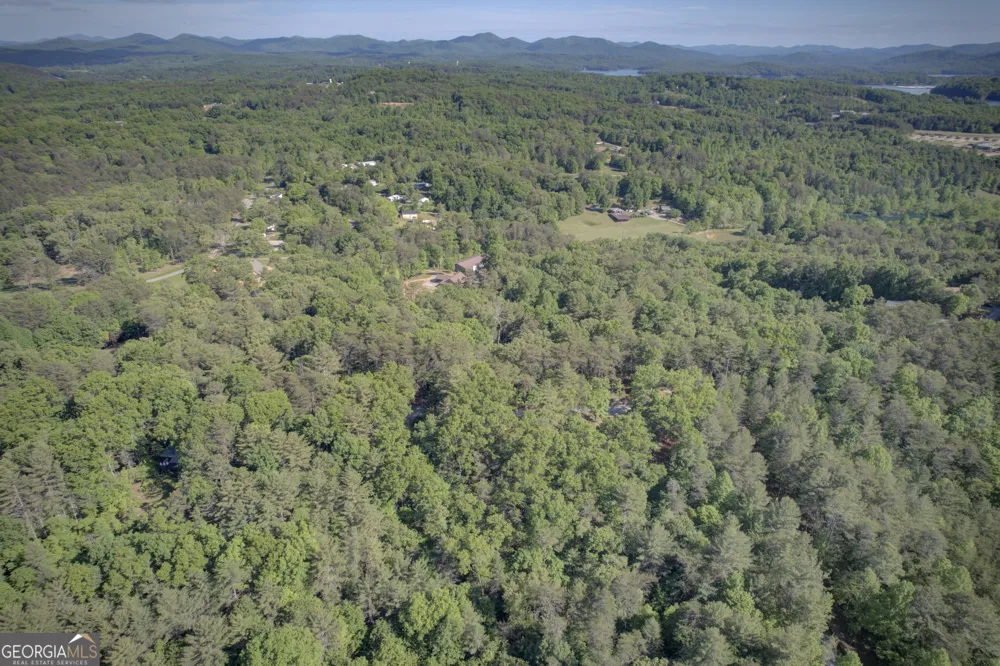 218 Bench Leg RD Mineral Bluff, GA 30559