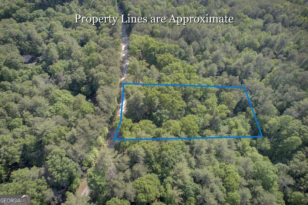 218 Bench Leg RD Mineral Bluff, GA 30559