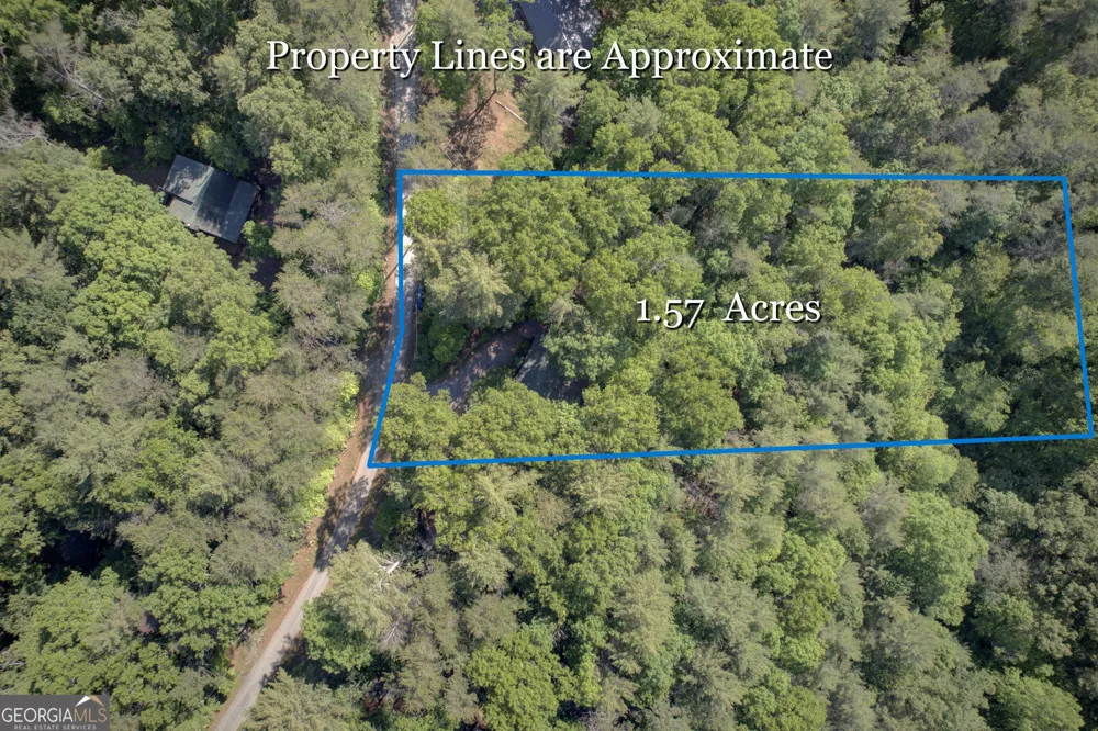 218 Bench Leg RD Mineral Bluff, GA 30559