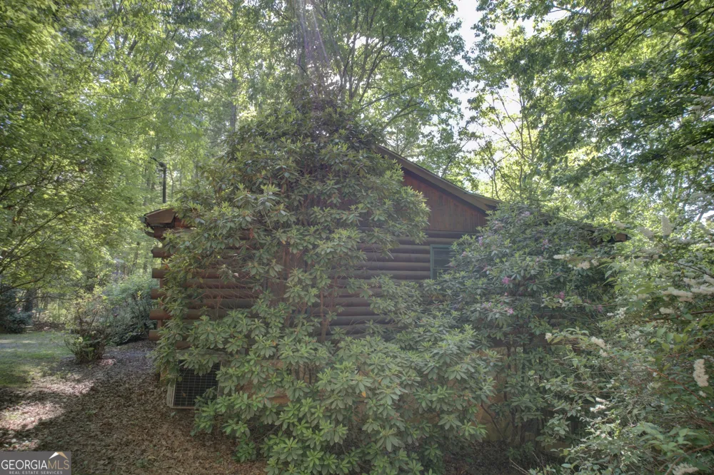 218 Bench Leg RD Mineral Bluff, GA 30559