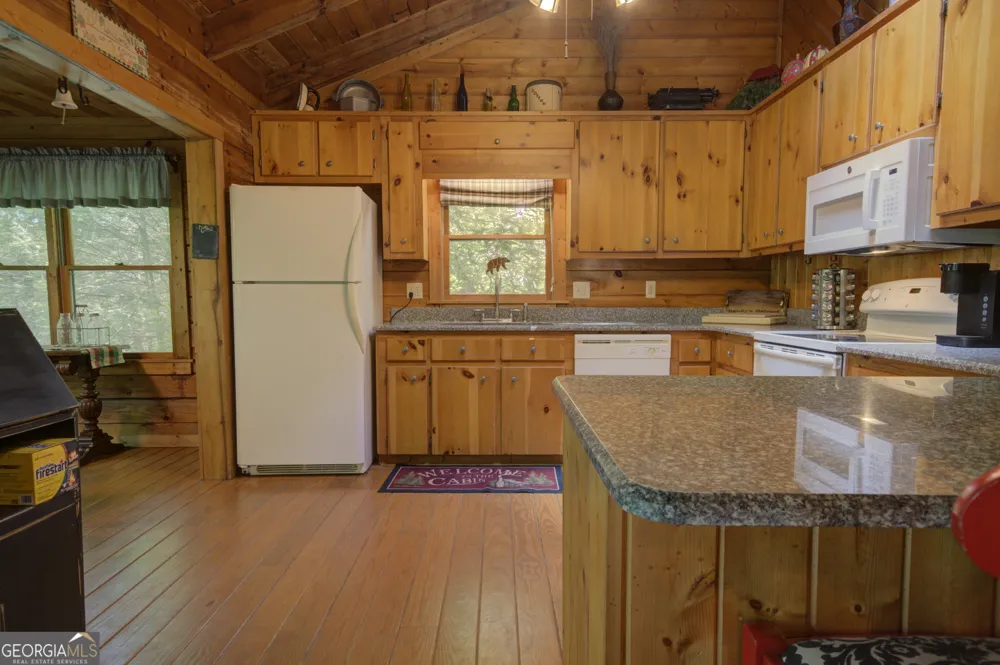 218 Bench Leg RD Mineral Bluff, GA 30559