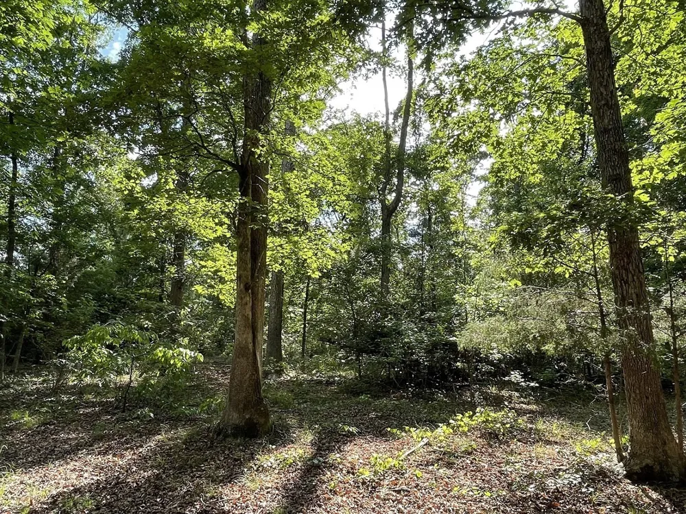 0 Stinchcomb RD Elberton, GA 30635