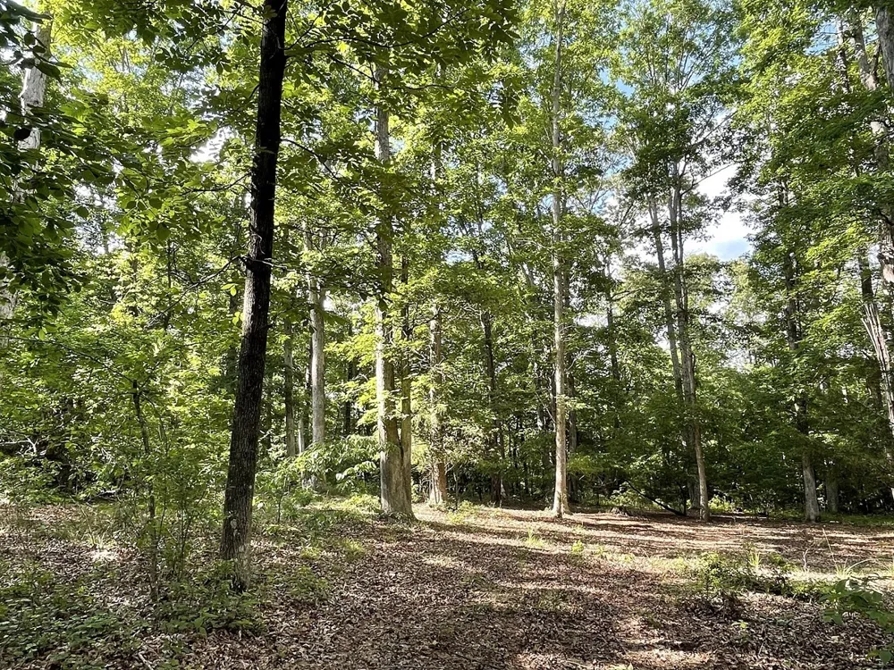 0 Stinchcomb RD Elberton, GA 30635