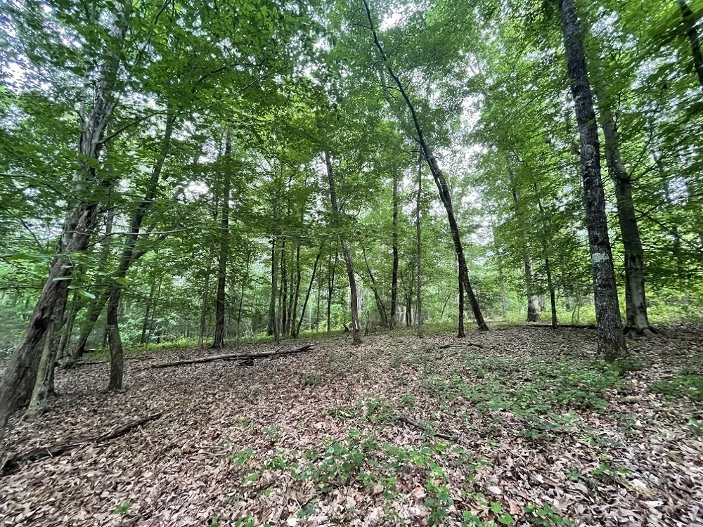 0 Stinchcomb RD Elberton, GA 30635