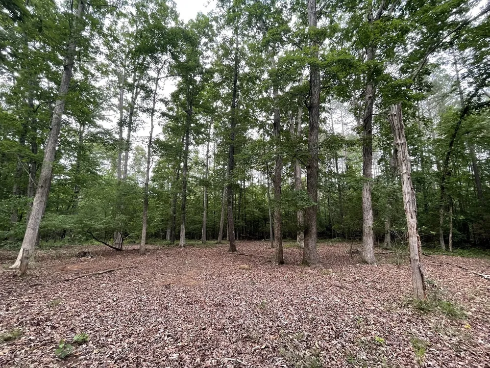 0 Stinchcomb RD Elberton, GA 30635