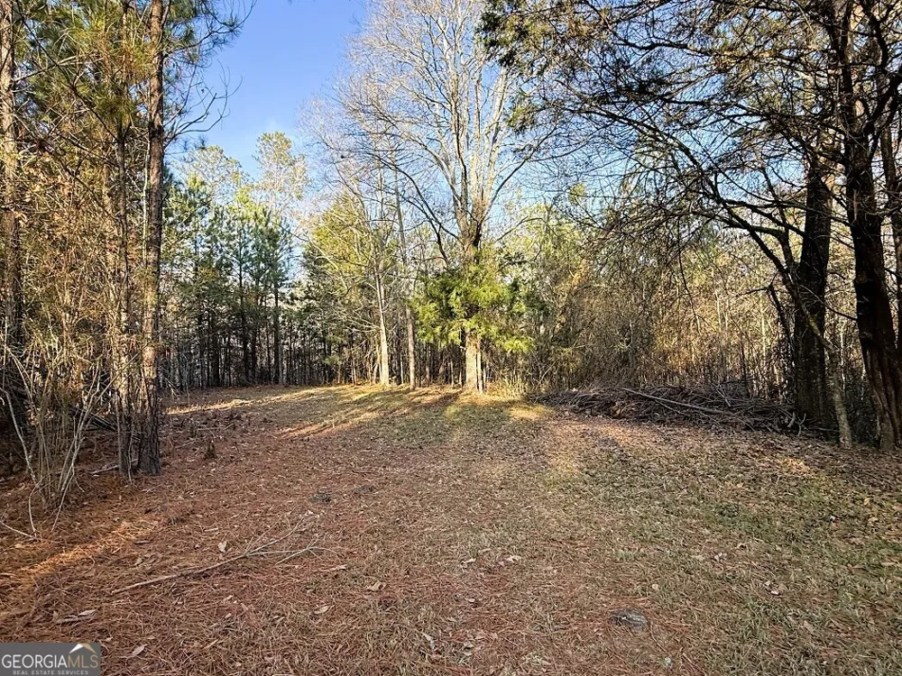 0 Stinchcomb RD Elberton, GA 30635