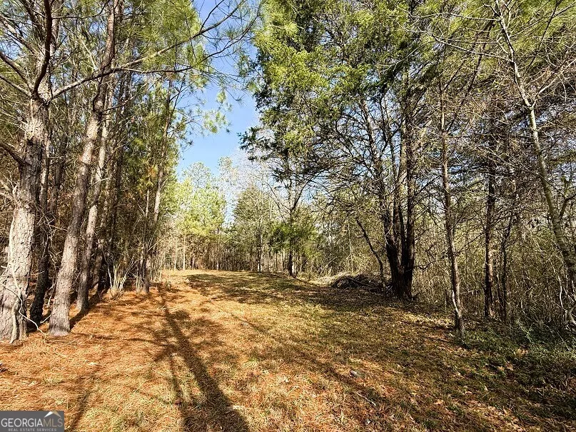 0 Stinchcomb RD Elberton, GA 30635