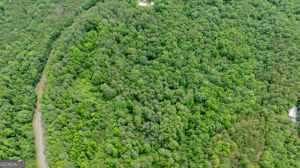 0 Almond RD Franklin, GA 30217