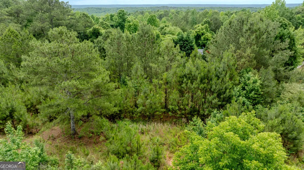 0 Almond RD Franklin, GA 30217