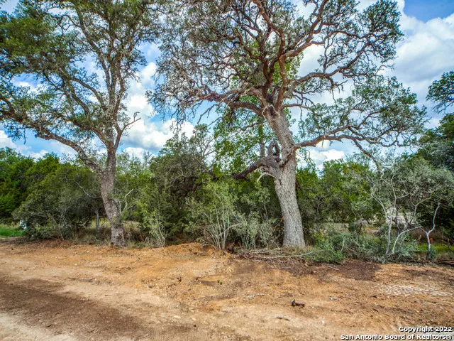 708 Sharp Springs Bulverde, TX 78163