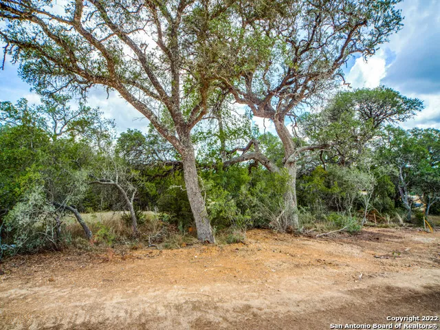 708 Sharp Springs Bulverde, TX 78163