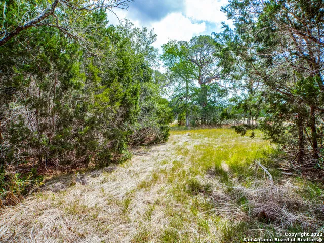 708 Sharp Springs Bulverde, TX 78163